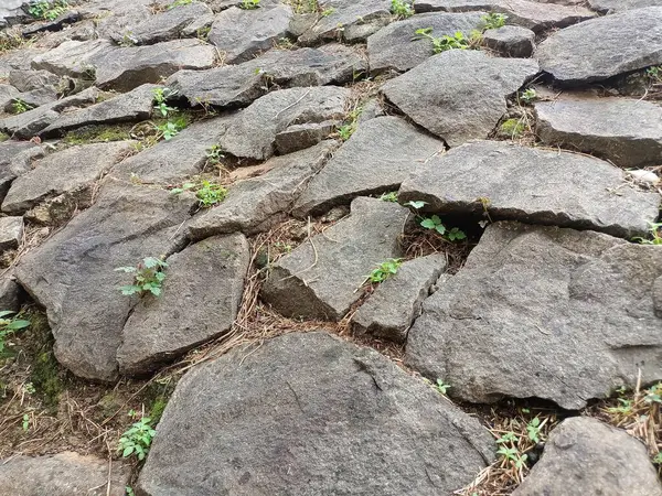 Değişik boyutlarda ve şekillerde düz ve kayalık zemin yüzeyi