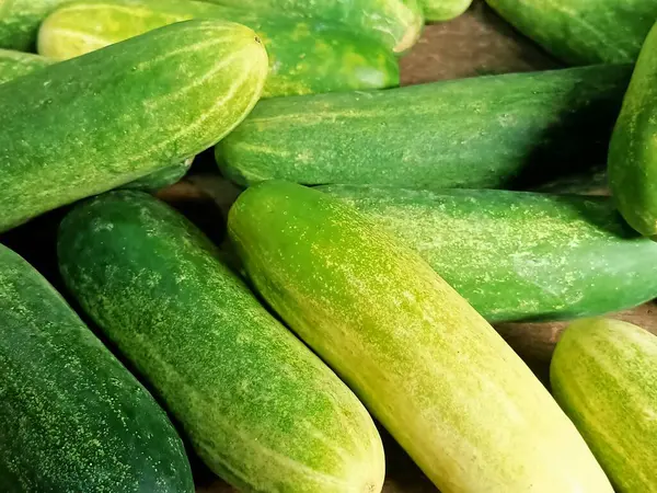 Masa gibi görünen bir yüzeye çok sayıda taze salatalık yerleştirildi.