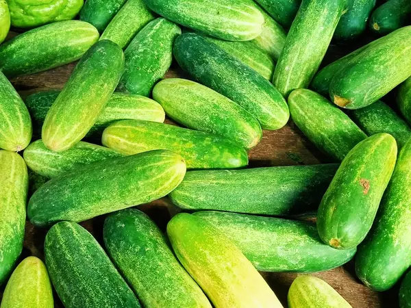 Masa gibi görünen bir yüzeye çok sayıda taze salatalık yerleştirildi.