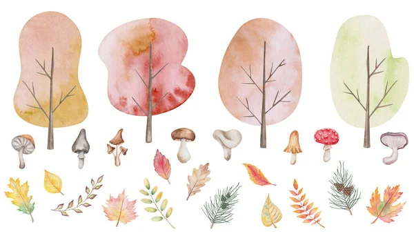 Akvarel Ilustrace Ručně Malované Stromy Listy Houby Champignon Flybane Houby — Stock fotografie