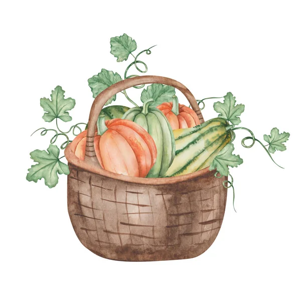 Akvarel Ilustrace Ručně Malované Hnědé Tkané Koše Proutěný Koš Zelené — Stock fotografie