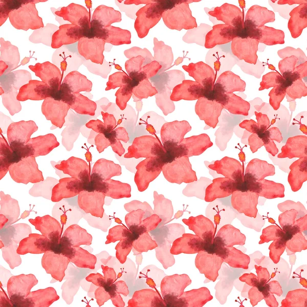 赤熱帯ハイビスカスの中国のバラの花の手描きイラストから水彩シームレスパターン 熱帯ジャングルの花を咲かせます 生地の織物 カードのための白い背景に印刷 — ストック写真