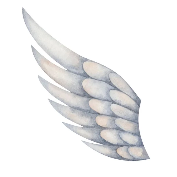 Akvarel Ilustrace Ručně Malované Roztažené Křídlo Šedé Peří Pro Létající — Stock fotografie