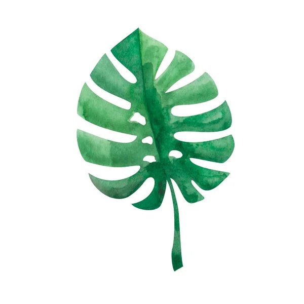 Aquarel Illustratie Van Hand Geschilderd Groene Monstera Blad Tropisch Gebladerte — Stockfoto