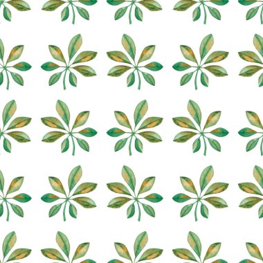 Elle boyanmış yeşil, sarı şempanze yaprağının suluboya desenleri. Tropik yeşillik. Orman, yağmur ormanı bitkisi. Kumaş tekstil, duvar kağıdı, kart için beyaz arkaplan üzerine yazdır