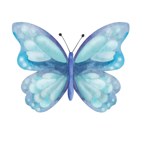 Aquarel Illustratie Van Hand Geschilderde Blauwe Vlinder Met Gespreide Vleugels — Stockfoto
