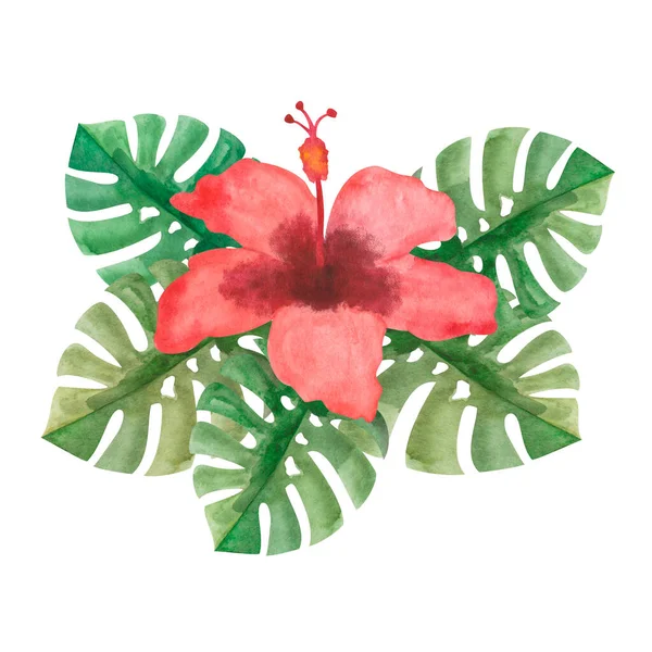Aquarel Illustratie Van Hand Geschilderd Groene Monstera Blad Rode Hibiscus — Stockfoto