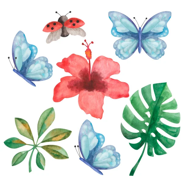 手からの水彩画のイラストは 赤熱帯ハイビスカスの花 緑のモンスターとスケッフレラの葉 青い蝶 女性のバグを描いた 熱帯性 プリント テキスタイルパターンのための分離されたクリップアート — ストック写真
