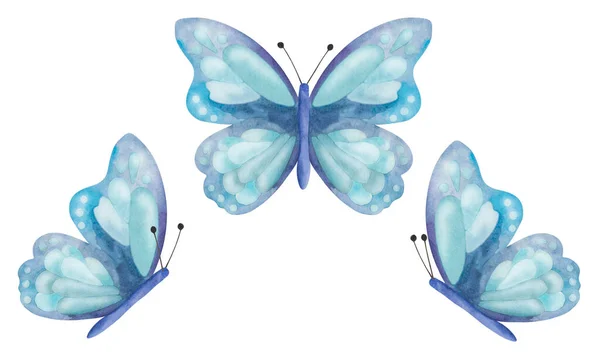 広がる翼を持つ手描きの青い蝶の水彩イラスト モナーク蝶 空飛ぶ虫蛾 ポストカード ステッカーのための白い自然クリップアートに分離 — ストック写真