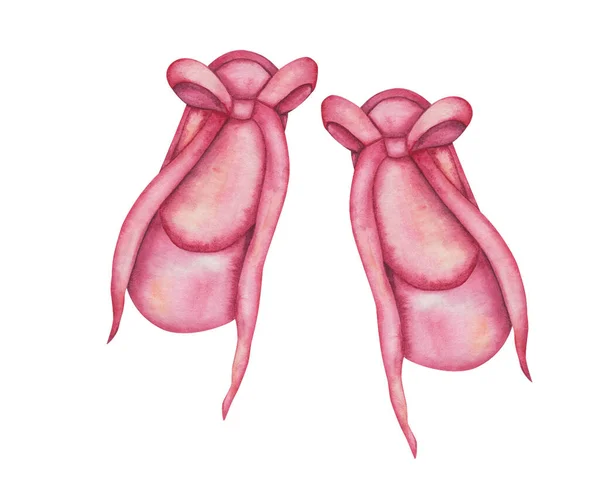 Υδατογραφία Εικονογράφηση Ζωγραφισμένα Στο Χέρι Ροζ Διαμερίσματα Μπαλέτο Ζευγάρι Παπούτσια — Φωτογραφία Αρχείου