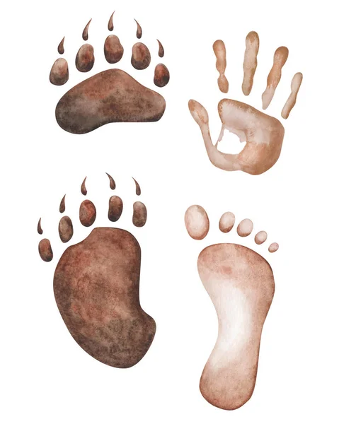 일러스트 손으로 사람의 발자국을 그렸습니다 발톱달린 발자국 동물의 동물간의 관계를 — 스톡 사진