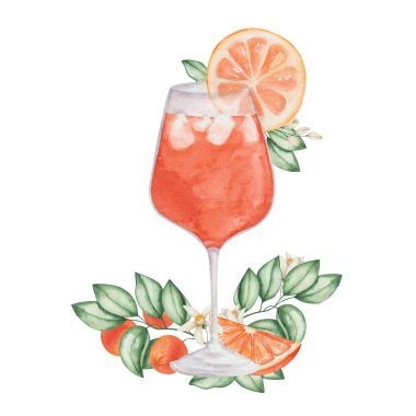 Suluboya çizimi. Portakal meyveli, yeşil yapraklı, çiçekli, kübik buzlu el boyası turuncu kokteyl. Kadehte Aperol spreyi. Alkol içeceği. İzole klipsli sanat