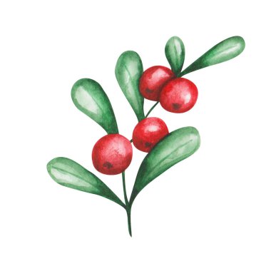 Watercolor illustration. Hand painted branch with red, round berries and green leaves. Cranberry, cowberry, currant. Summer, autumn harvest of food. Forest berry. Isolated clip art for pattern, print