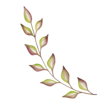 Watercolor illustration. Hand painted tree branch with leaves in green, brown colors. Spring nature. Autumn foliage. Summer vegetation. Greenery. Isolated clip art for prints, textile patterns, poster