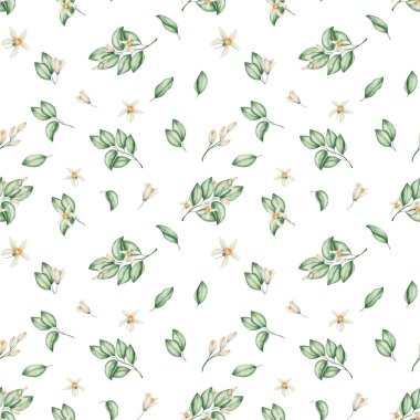 Watercolor seamless pattern. Hand painted illustrations of green leaves and beige flowers with five petals. Tropical citrus flowers. Floral pattern. Print on white background for textile, packaging