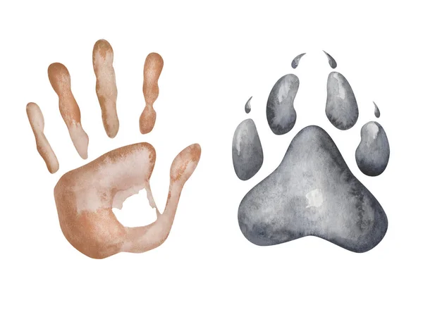 水彩画 手绘人手掌的棕色手印 手绘狼爪子的灰色手印 狗的脚印 世界动物日 人类和动物的友谊 用于横幅的孤立剪贴画 — 图库照片