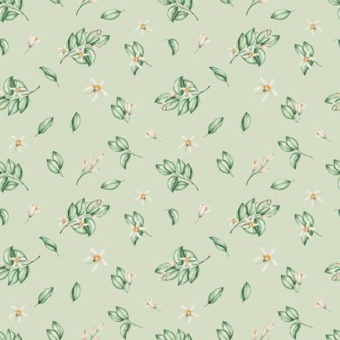 Suluboya kusursuz desen. Elle boyanmış yeşil yapraklar ve beş yapraklı bej çiçekler. Tropik narenciye çiçekleri. Çiçek deseni. Tekstil ve ambalaj için yeşil arkaplan üzerine yazdır