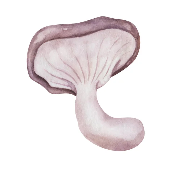 Ilustracja Akwareli Ręcznie Malowane Grzyby Kolorze Szarym Białym Fioletowym Grzyby — Zdjęcie stockowe