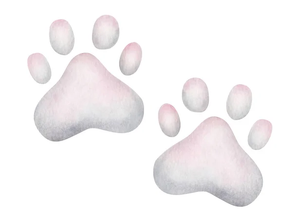 일러스트 손에는 분홍색 고양이 강아지를 그렸다 자국이야 고양이 고양이 동물의 — 스톡 사진