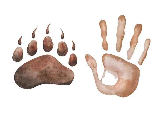 Ilustração Aquarela Mão Pintado Mão Marrom Impressão Homem Pata Urso — Fotografia de Stock