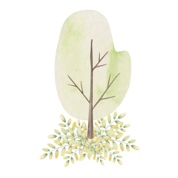 Watercolor Illustration Hand Painted Tree Green Crown Branches Fallen Yellow — Stock Photo, Image