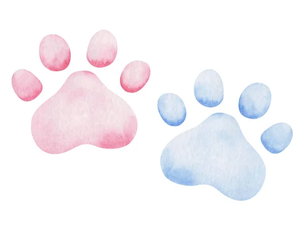 Suluboya Çizimi Elle Boyanmış Pembe Mavi Pençeli Kedi Yavrusu Izleri — Stok fotoğraf