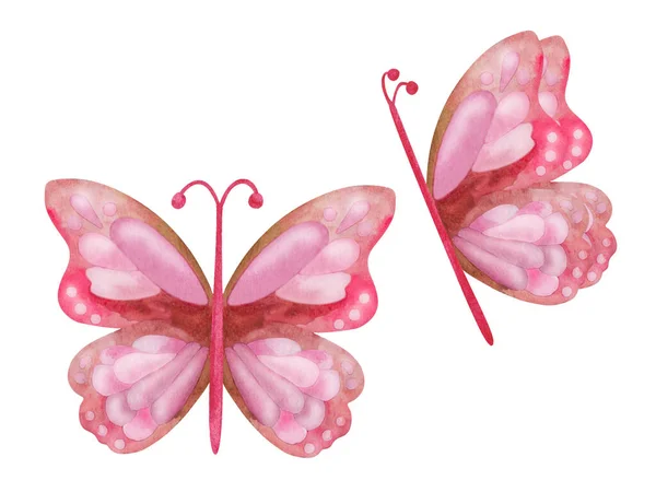 Aquarelillustratie Met Hand Geschilderd Roze Gele Vlinder Met Gespreide Vleugels — Stockfoto