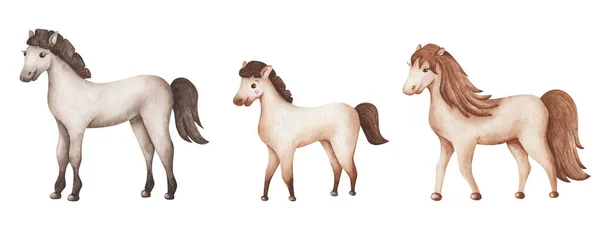 Ilustrace Akvarelů Ručně Malovaná Rodina Koní Stádo Klisen Hřebců Hříbat — Stock fotografie