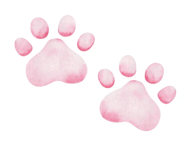Ilustração Aquarela Pata Rosa Pintada Mão Impressão Gatinho Cachorro Pegada — Fotografia de Stock
