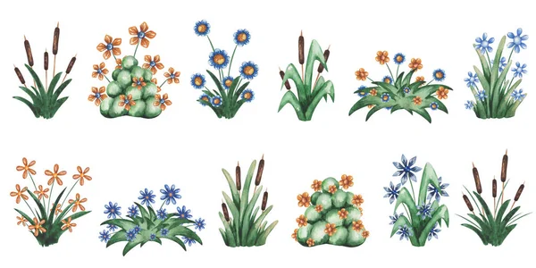 Set Acquerello Illustrazioni Fiori Blu Gialli Dipinti Mano Erba Verde — Foto Stock