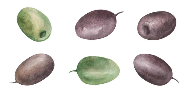 イラストの水彩セット 手描きの黒オリーブと緑のオリーブを塗りました 穴が開いたままだ オリーブの木の果物 地中海料理 バナー メニュー 広告のための分離されたクリップアート — ストック写真