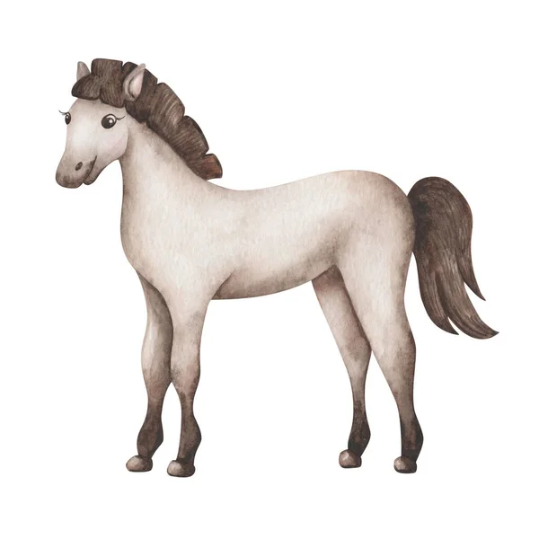 Ilustrace Akvarelů Ručně Malovaný Šedohnědý Kůň Hřebec Černým Příběhem Kopyty — Stock fotografie