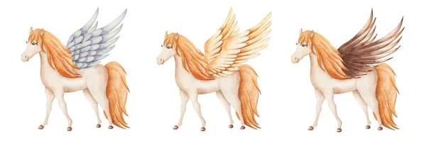 Sada Ilustrací Akvarelu Ručně Malovaní Béžoví Pegasoví Koně Modrými Zlatými — Stock fotografie