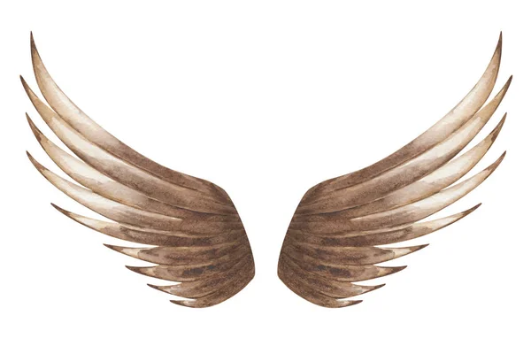 Ilustracja Akwareli Ręcznie Malowane Skrzydła Brązowe Pióra Dla Latających Ptaków — Zdjęcie stockowe