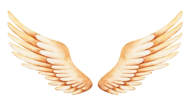 水彩画 手绘展开的翅膀 黄色的 金色的羽毛为飞鸟 天使之翼 丘比特之翼 基路伯之翼 天象之翼 用于印刷 横幅的孤立剪贴画 — 图库照片