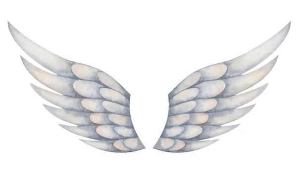 Ilustrace Akvarelů Ručně Malovaná Roztažená Křídla Šedá Modrá Peří Pro — Stock fotografie