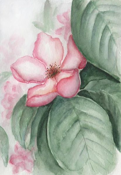 Illustrazione Acquerello Pittura Floreale Dipinta Mano Con Fiore Rosa Fiore — Foto Stock