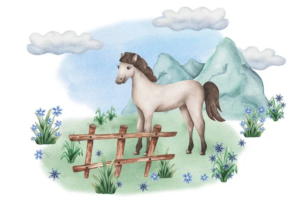 Illustrazione Acquerello Cavallo Dipinto Mano Nella Fattoria Mare Stallone Puledro — Foto Stock