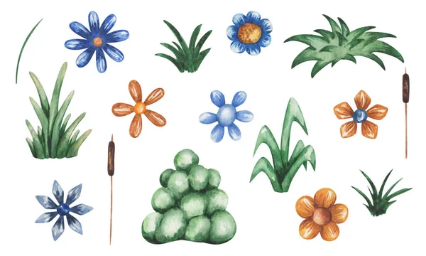Sada Ilustrací Akvarelu Ručně Malované Modré Žluté Květy Zelená Tráva — Stock fotografie