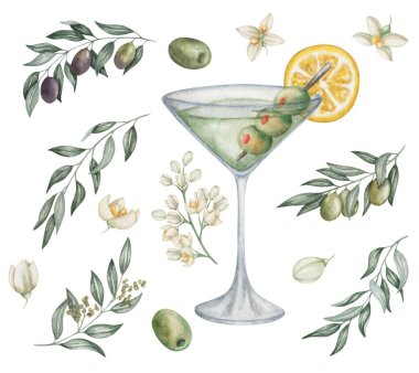 Resimlerin suluboya seti. Martini bardağına elle boyanmış martini kokteyli yeşil zeytinli, bir dilim limonlu. Zeytin çiçekleri, dallar. Kirli martini. Alkol içeceği. Menü için izole klip sanatı