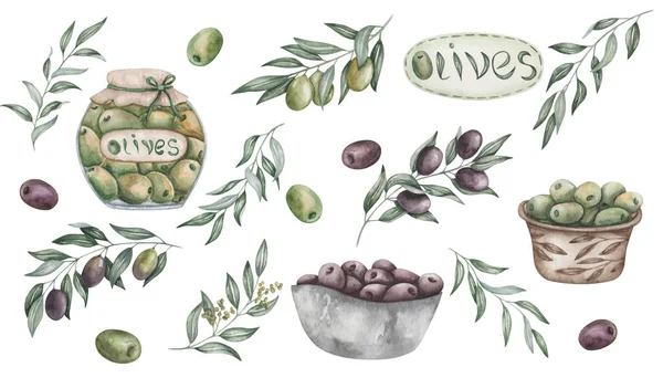 Sada Ilustrací Akvarelu Ručně Malované Vypeckované Zelené Černé Olivy Skleněné — Stock fotografie