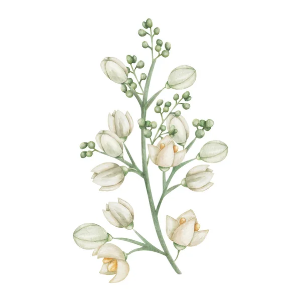 Ilustração Aquarela Ramo Pintado Mão Com Flores Floridas Branco Cores — Fotografia de Stock