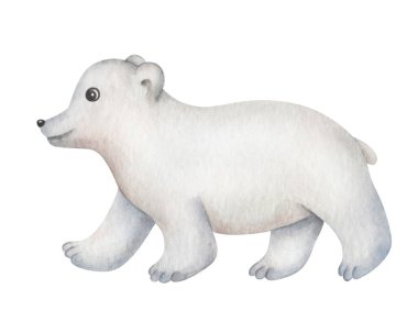 Suluboya çizimi. El yapımı kutup ayısı. Yavru, yavru hayvan. Kuzey Kutbu hayvanı. Memeli yırtıcı hayvan. Beyaz ayı. Pankartlar ve posterler için izole edilmiş karikatür sanatı