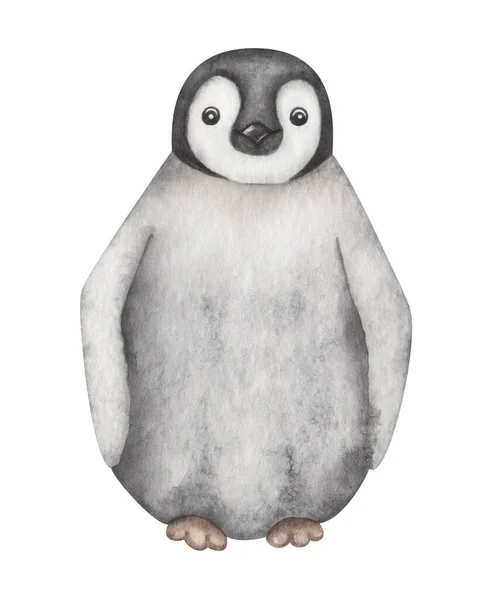 水彩画 手绘企鹅宝宝 不会飞的黑白相间的海鸟 南极海的南极鸟 企鹅皇帝 孤立的卡通片艺术 — 图库照片