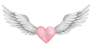 Suluboya çizimi. El boyası pembe kalp ve gri açık kanatlar melek gibi. Aşk tanrısı, meleğim. Aşk sembolü. Tüylü kanatlar. Düğünler için münferit klip sanatı. Sevgililer Günü için aşk kartı