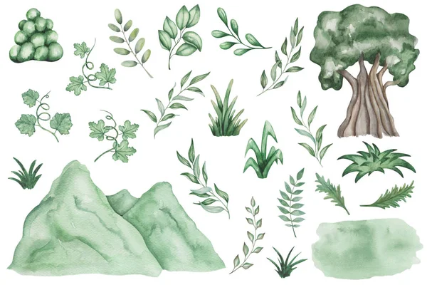 Watercolor set of illustrations. Hand painted nature elements. Branches with leaves. Grass, mountain, tree, bushes. Green lawn. Spring greenery. Olive branches. Isolated floral botanical clip art