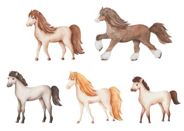 Resimlerin suluboya seti. Elle boyanmış at sürüsü. Karabasan, aygır, tay. Safkan clydesdale, palomino, midilli, przewalski 's. Çizgi film hayvanları. Atlardan oluşan bir aile. İzole klipsli sanat