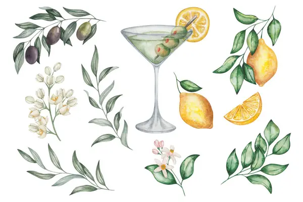 Akvarell Illusztrációk Kézzel Festett Száraz Martini Koktél Martini Pohárban Zöld Stock Kép