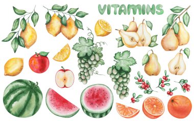 Suluboya çizimi. Meyve seti. Sarı limonlar, armutlar, elmalar, karpuzlar, portakallar, üzümler, kırmızı çilekler. Çiğ, olgun, bütün, ikiye bölünmüş, dilimlenmiş meyveler. Vitaminler. İzole yemek klipsi sanatı