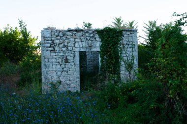 Eski bir anıt Imaret, Arta, Epirus Yunanistan mavi küçük çiçeklerle